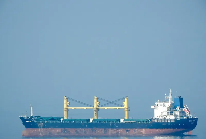ZEALAND ZARIA Bulk Carrier IMO 9486269 photo 2