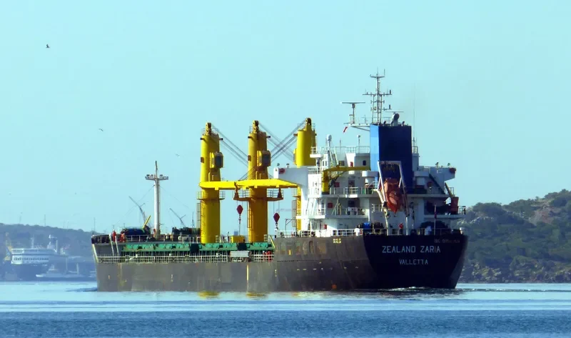 ZEALAND ZARIA Bulk Carrier IMO 9486269 photo 6