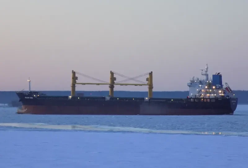 ZEALAND ZARIA Bulk Carrier IMO 9486269 photo 9