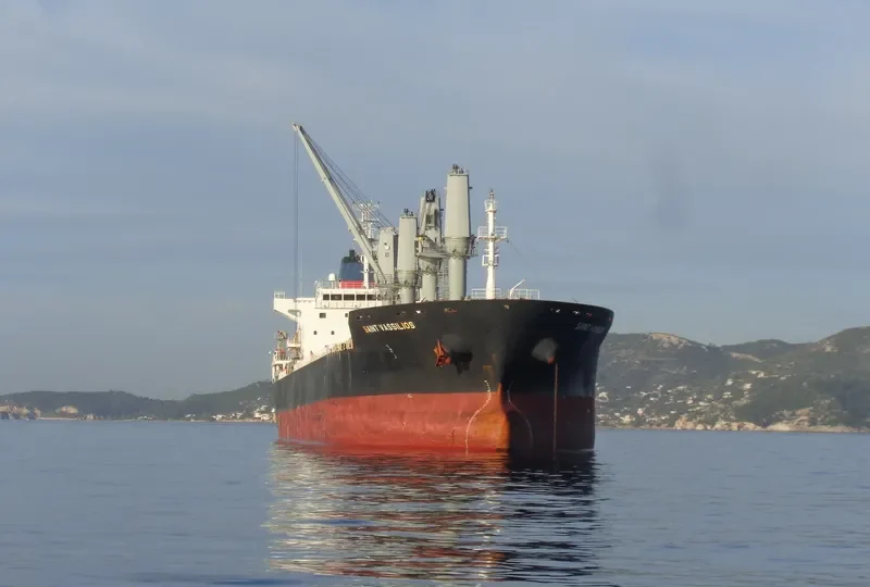 SAINT VASSILIOS Bulk Carrier IMO 9486403 photo 9