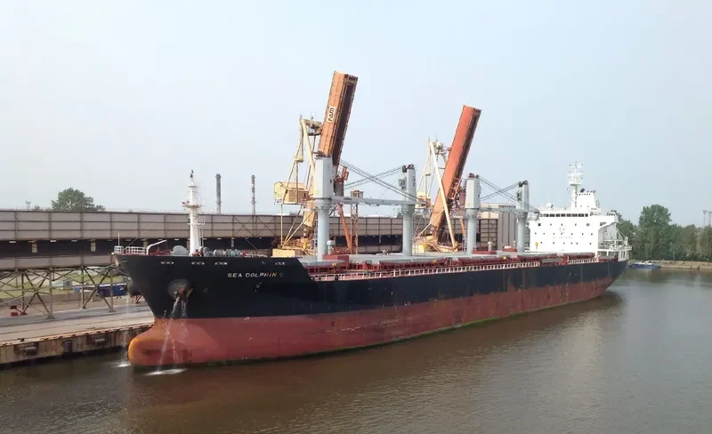 SEA DOLPHIN C Bulk Carrier IMO 9486427 photo 3