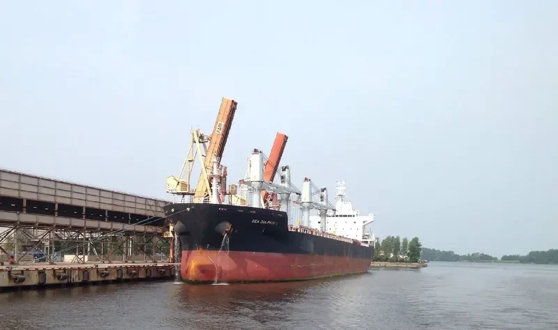 SEA DOLPHIN C Bulk Carrier IMO 9486427 photo 4