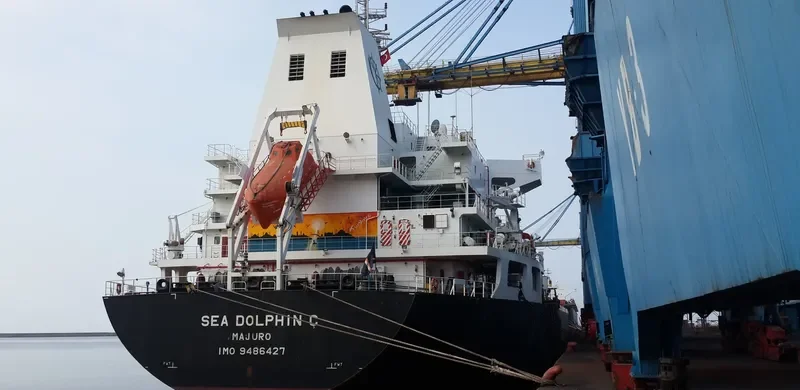 SEA DOLPHIN C Bulk Carrier IMO 9486427 photo 5