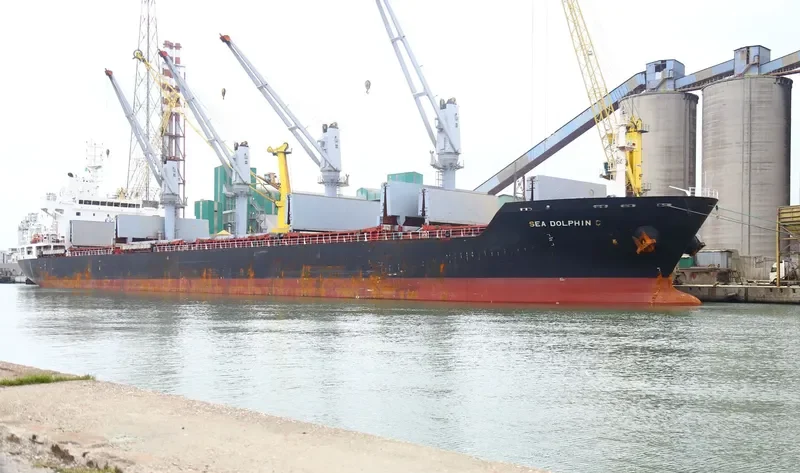 SEA DOLPHIN C Bulk Carrier IMO 9486427 photo 6