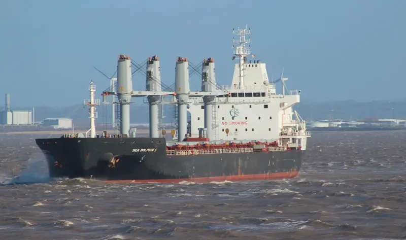 SEA DOLPHIN C Bulk Carrier IMO 9486427 photo 7