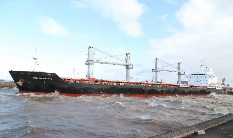 SEA DOLPHIN C Bulk Carrier IMO 9486427 photo 9