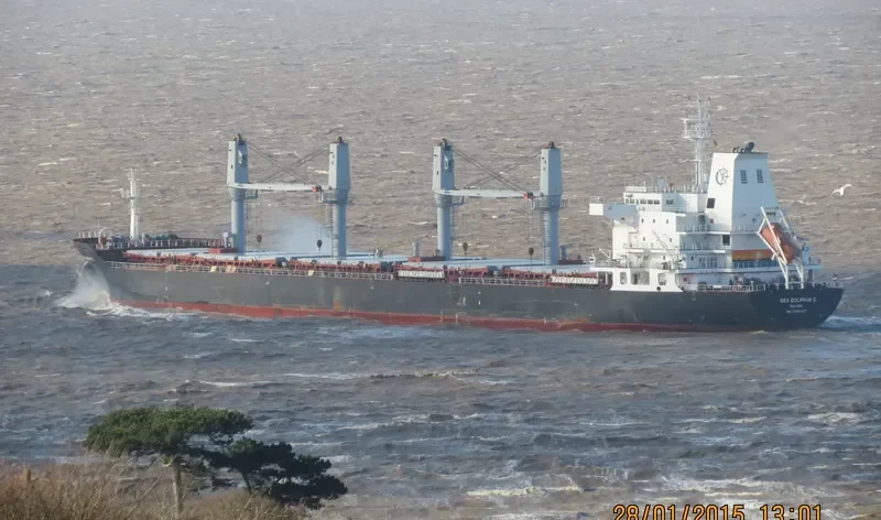 SEA DOLPHIN C Bulk Carrier IMO 9486427 photo 10