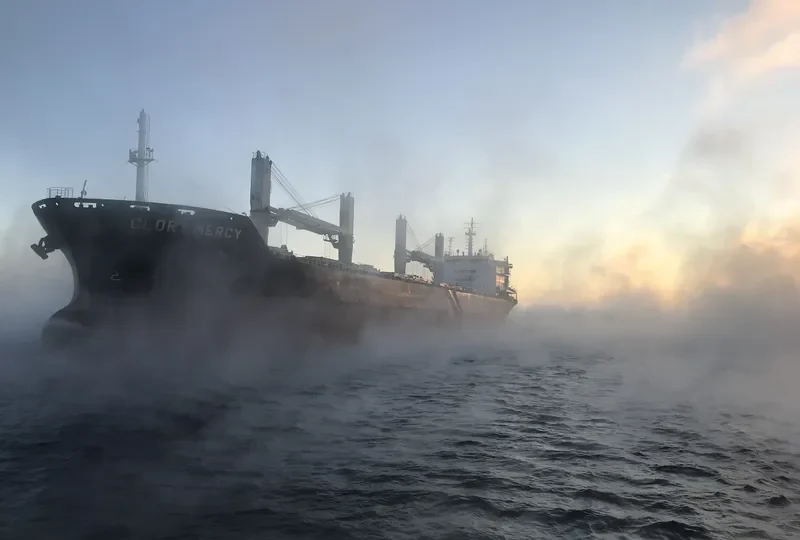 COMITY Bulk Carrier IMO 9486568 photo 3