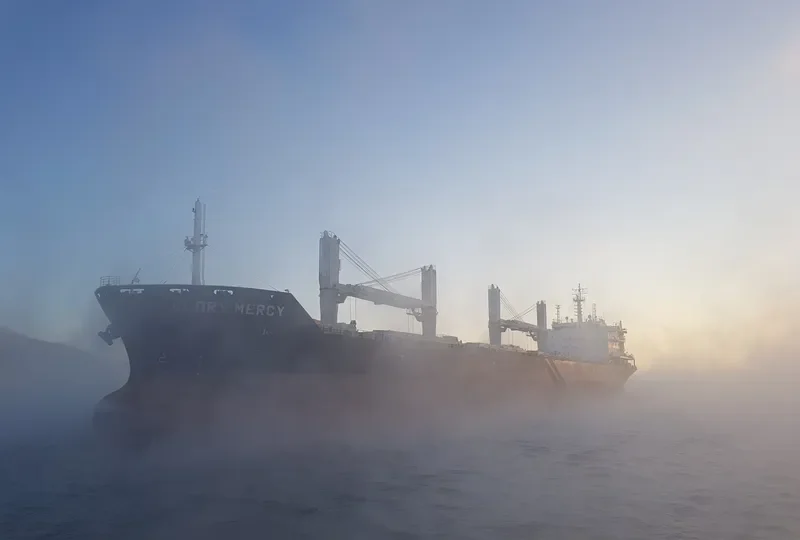 COMITY Bulk Carrier IMO 9486568 photo 6