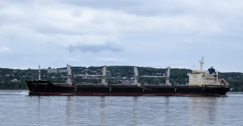 ACUITY Bulk Carrier IMO 9486582