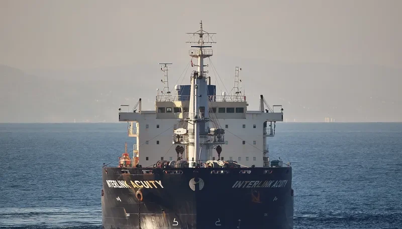 ACUITY Bulk Carrier IMO 9486582 photo 2