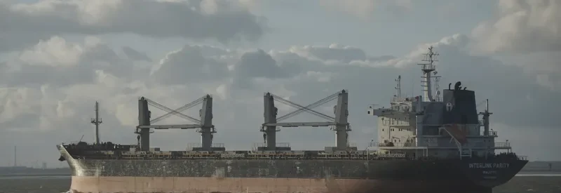 PARITY Bulk Carrier IMO 9486594 photo 2