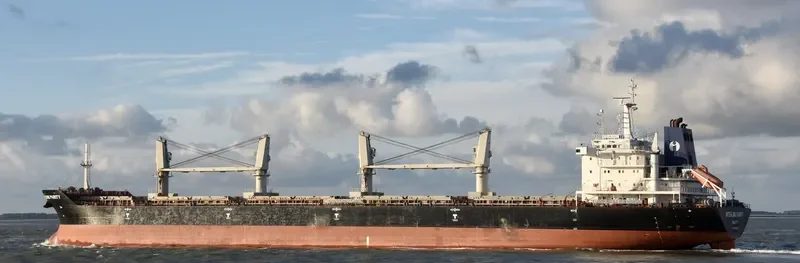 PARITY Bulk Carrier IMO 9486594 photo 5