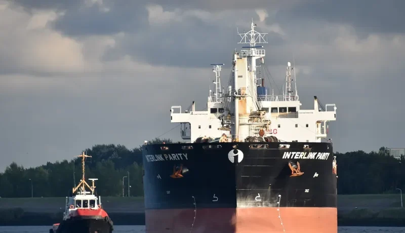 PARITY Bulk Carrier IMO 9486594 photo 6