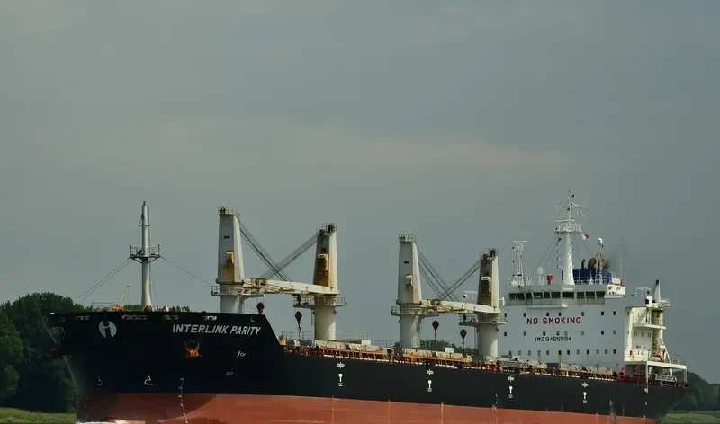 PARITY Bulk Carrier IMO 9486594 photo 8