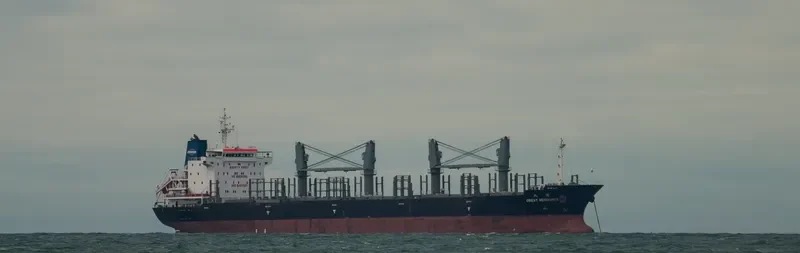 RESOURCE General Cargo IMO 9487031 photo 10