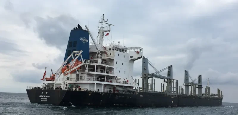 TRAWIND WHALE General Cargo IMO 9487067 photo 5