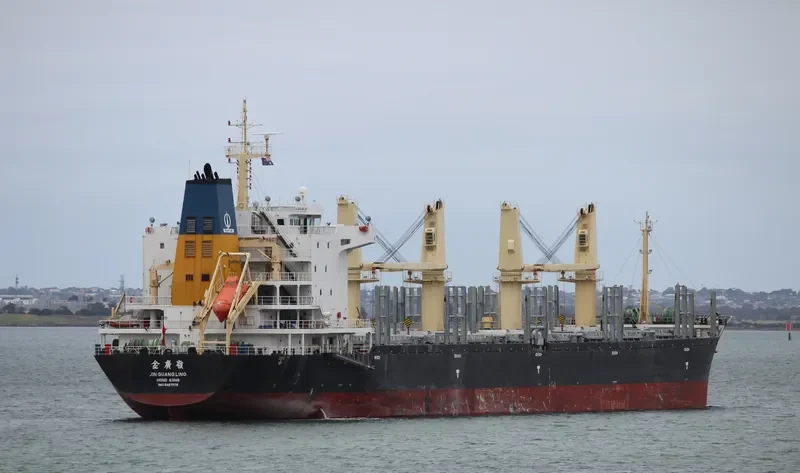 JIN GUANG LING Bulk Carrier IMO 9487079