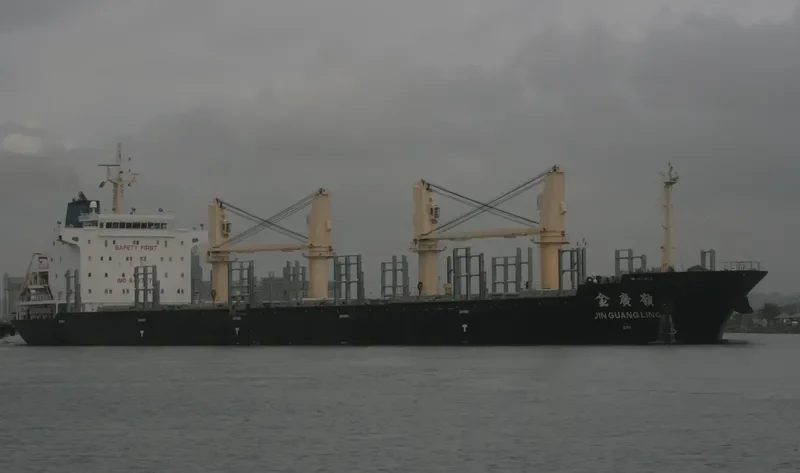 JIN GUANG LING Bulk Carrier IMO 9487079 photo 7
