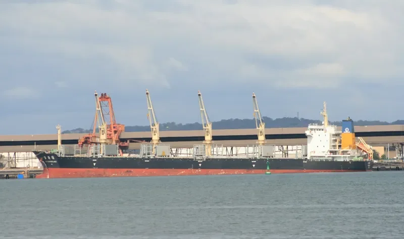 JIN GUANG LING Bulk Carrier IMO 9487079 photo 8