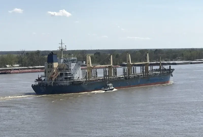 JIN YUAN LING Bulk Carrier IMO 9487081 photo 4