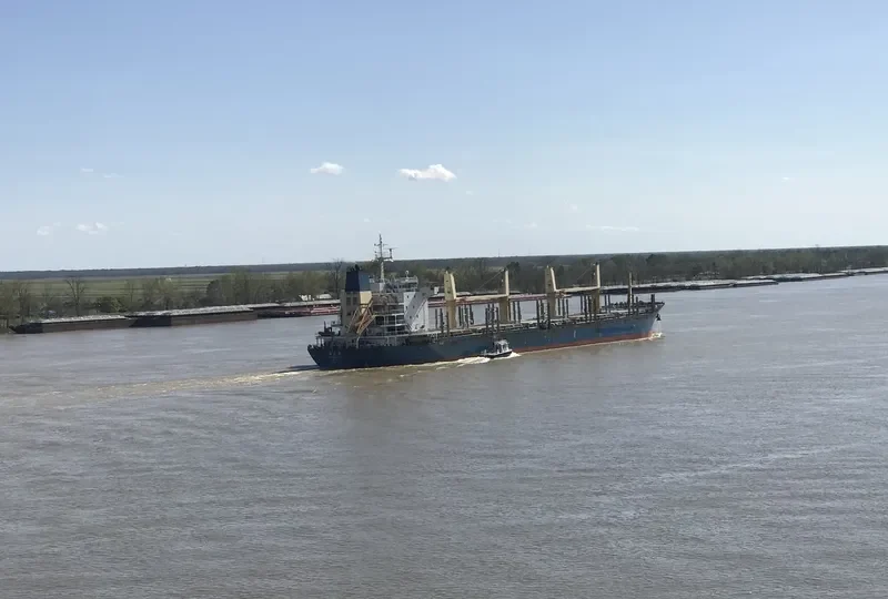 JIN YUAN LING Bulk Carrier IMO 9487081 photo 5