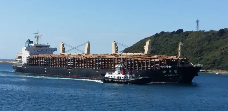 JIN XING LING Bulk Carrier IMO 9487093