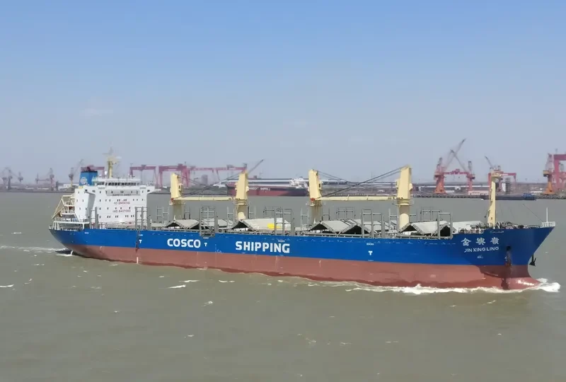 JIN XING LING Bulk Carrier IMO 9487093 photo 7