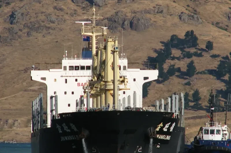 JIN WANG LING Bulk Carrier IMO 9487108 photo 2