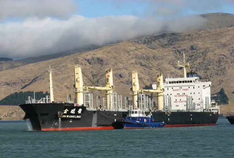 JIN WANG LING Bulk Carrier IMO 9487108 photo 3
