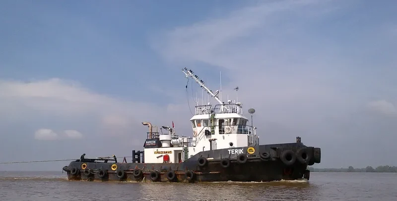 TERIK General Cargo IMO 9487354 photo 4