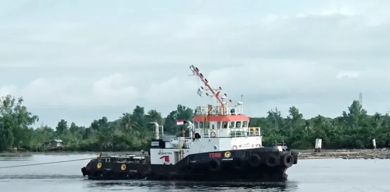 TERIK General Cargo IMO 9487354 photo 5