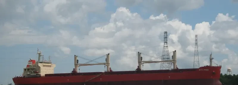 PAN PRIDE Bulk Carrier IMO 9487407 photo 10