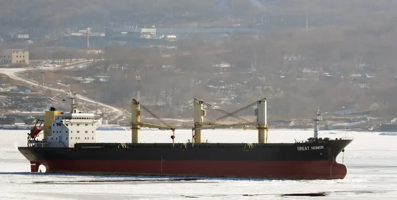 GREAT HONOR Bulk Carrier IMO 9487500 photo 4