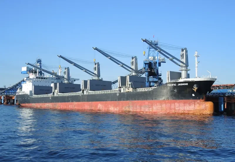 RUBATO Bulk Carrier IMO 9487550 photo 2