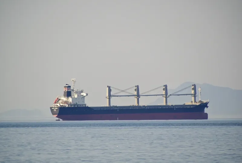 RUBATO Bulk Carrier IMO 9487550 photo 5
