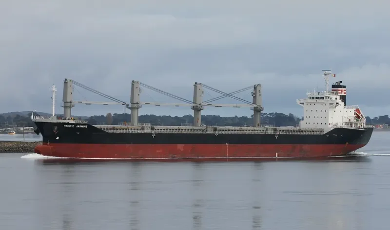 RUBATO Bulk Carrier IMO 9487550 photo 9