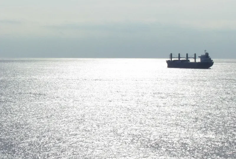 RUBATO Bulk Carrier IMO 9487550 photo 10