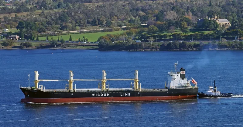 TAO BRAVE Bulk Carrier IMO 9487586