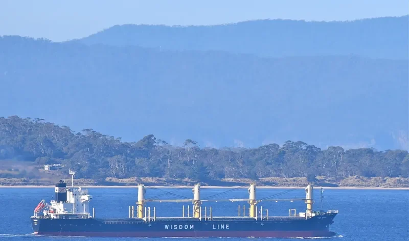 TAO BRAVE Bulk Carrier IMO 9487586 photo 5
