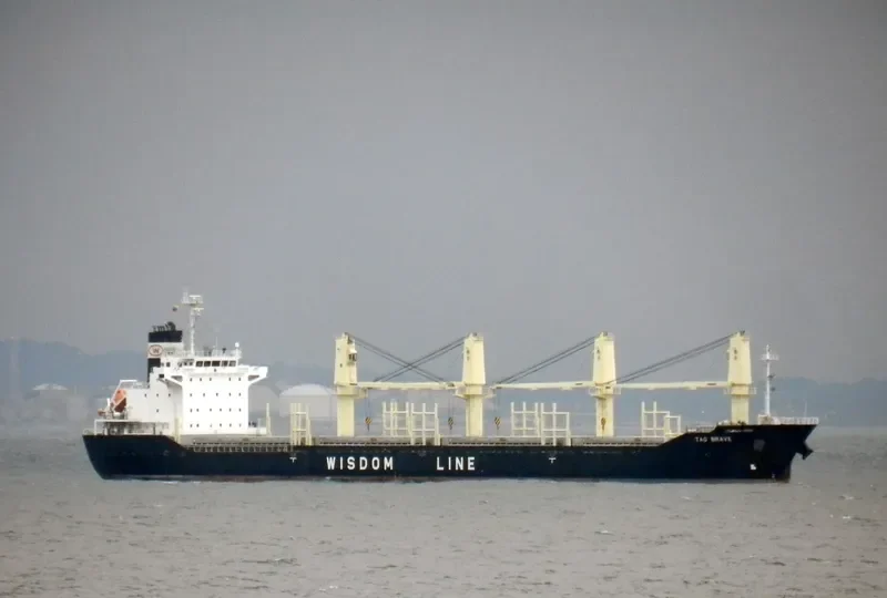TAO BRAVE Bulk Carrier IMO 9487586 photo 6