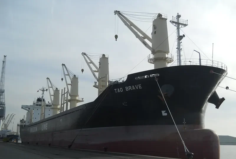 TAO BRAVE Bulk Carrier IMO 9487586 photo 9
