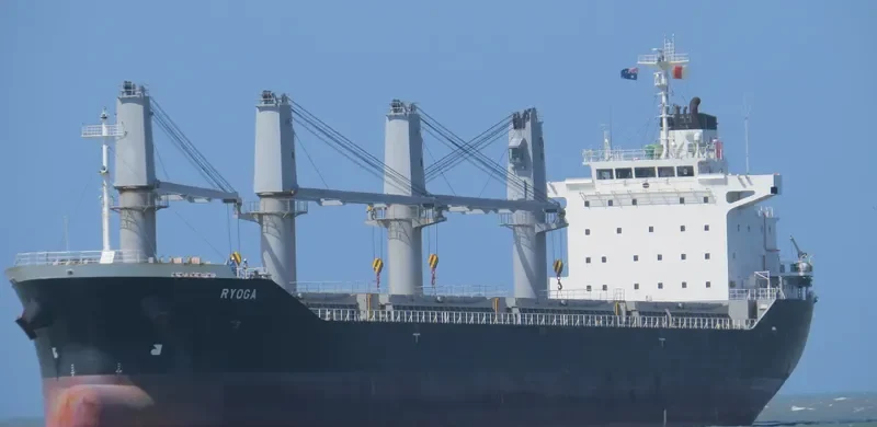 BC RAEDA Bulk Carrier IMO 9487598 photo 3