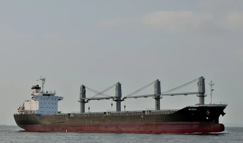 BC RAEDA Bulk Carrier IMO 9487598 photo 4
