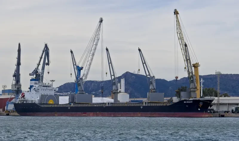 BC RAEDA Bulk Carrier IMO 9487598 photo 6