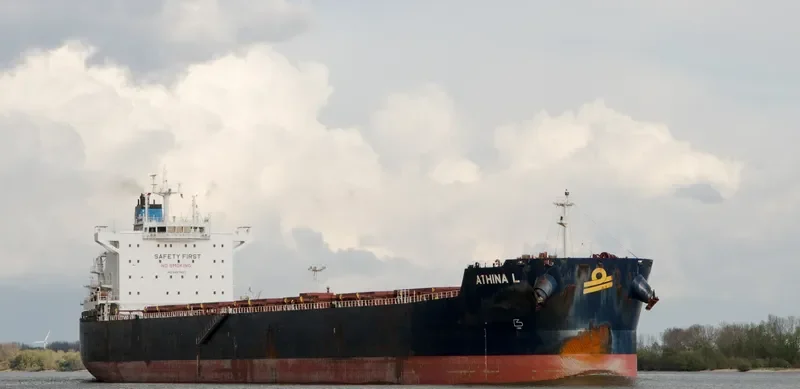 ATHINA L Bulk Carrier IMO 9487627 photo 5