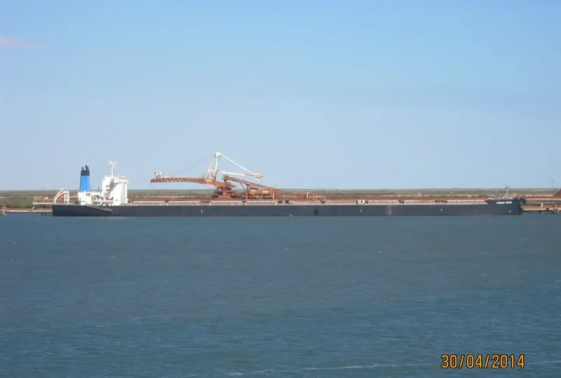 INDIGO HOPE Bulk Carrier IMO 9487639 photo 3