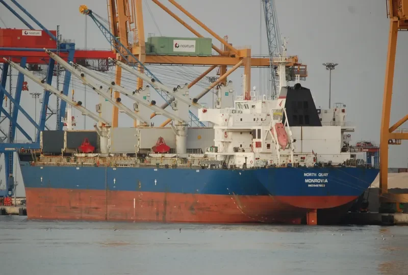 SINO EXPRESS Bulk Carrier IMO 9487653 photo 2