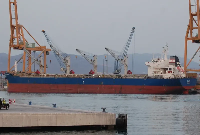 SINO EXPRESS Bulk Carrier IMO 9487653 photo 3