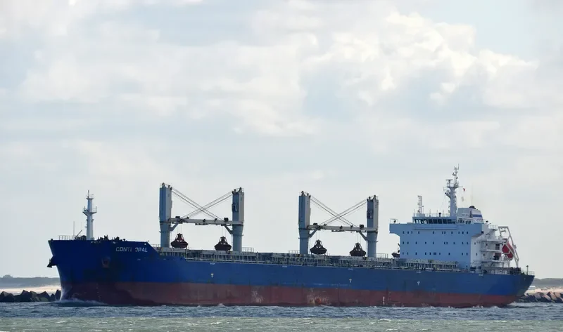 SINO EXPRESS Bulk Carrier IMO 9487653 photo 4